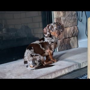 Meet your Posher, Ben